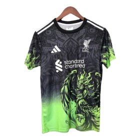 Goedkope Liverpool Special 2024-25 Groene